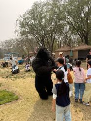 -268童话露营农场·烧烤·团建