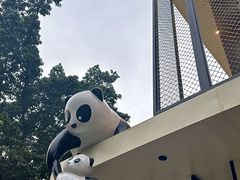 -嫩芽 ·地道重庆菜(十八梯露台夜景店)