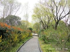 -新江湾城公园
