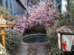 -悦隆庄温泉度假酒店