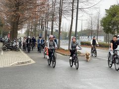 -上海长兴岛郊野公园