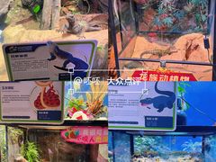 -正佳雨林生态植物园