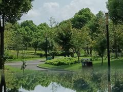 -泰煌鸡·上海白斩鸡·鸡汤面(万航店)