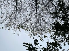 -重庆彩云湖湿地公园