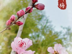 -中关村生命科学园