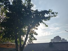 -塔子山公园
