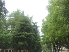 -南京航空航天大学(明故宫校区)
