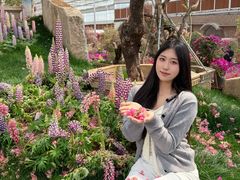 -沂蒙云瀑洞天景区