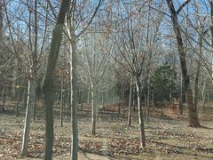 -秦皇岛野生动物园
