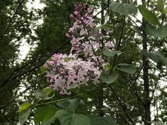 -大连植物园