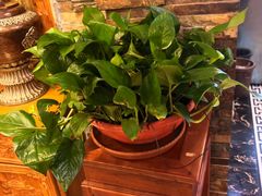 -宗巴雍姆藏餐府