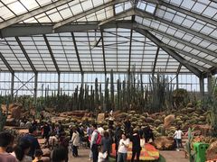 -南通洲际绿博园