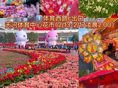 -小西家作•精致蛋糕(富力爱丁堡店)