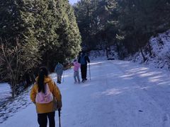 -四明山国家森林公园