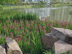 -宁波儿童公园(鄞州区)