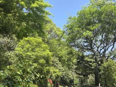 -汤山公园