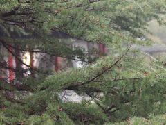 -水绘园