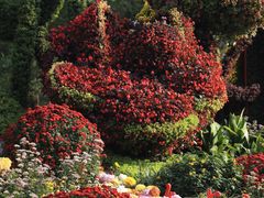 -上海共青森林公园