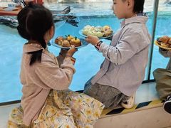 -帝企鹅自助餐厅•儿童岛•真企鹅(长隆企鹅酒店)