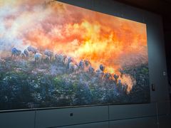 -罗红摄影艺术馆