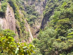 -大鄣山卧龙谷景区