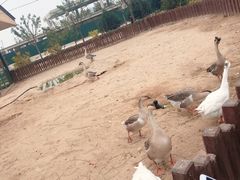 -太原动物园