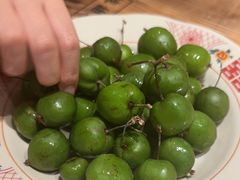 -二胖家铁锅炖大鹅(双井店)
