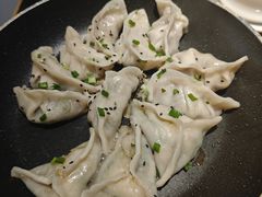 -小金鬼·煎饺·鸽子汤