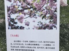 -堤角公园