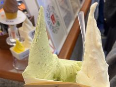 -野人先生Gelato(上海长宁龙之梦店)