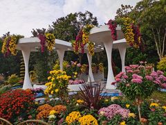 -上海共青森林公园