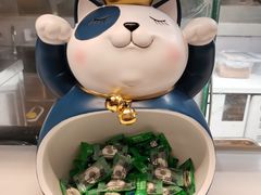 -逐豆匠(望京店)
