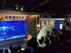 -成都浩海立方海洋公园