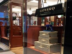 -Goyard 高雅德(国贸商城店)