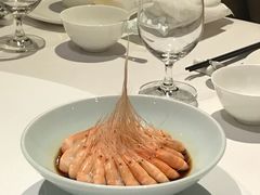 -南麓·浙里(外滩店)