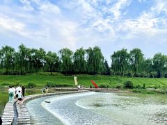 -洨河生态公园