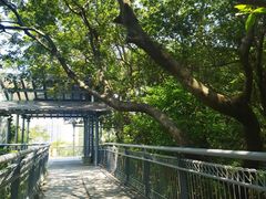 -佛山华盖山公园