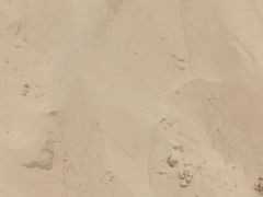 -玉龙沙湖景区