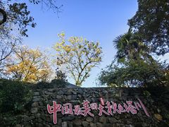-塔川景区