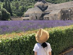 -塞南克修道院