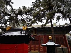 -潭柘寺景区