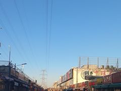 -中环花鸟鱼虫市场