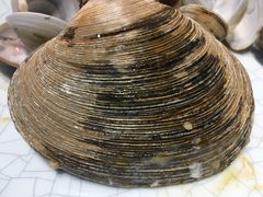 -海博汇蒸汽海鲜
