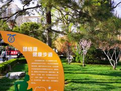 -团结湖公园