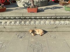 -太平禅寺