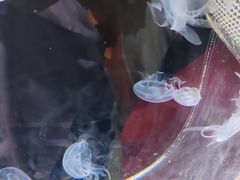 -宁波国际会展中心