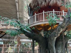 -南宫五洲植物乐园