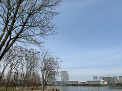 -尚贤河湿地
