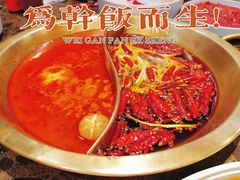 -小龙坎火锅(春熙太古里店)