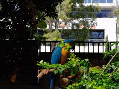 -The Grounds of Alexandria